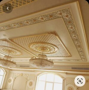 ceilig design ideas for two fan